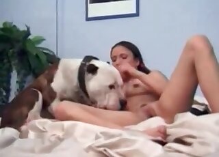 Big doggie makes slender chick moan by licking her wet pussy hole