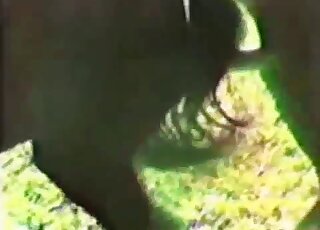 Brown animals showing off their pussies in a voyeur horse porn vid