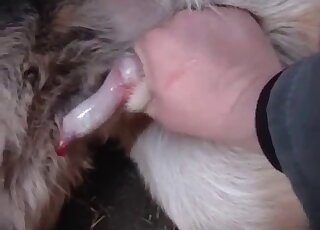 Dude gives this animal a nice handjob in a hot porno movie here