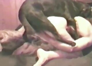 Hairy cock dude fucking black dog in a missionary position here