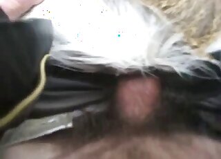 Guy's veiny penis is being inserted from behind into that tight hole