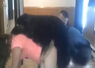 Attractive lady with dark hair is prepared to get fucked by a dog