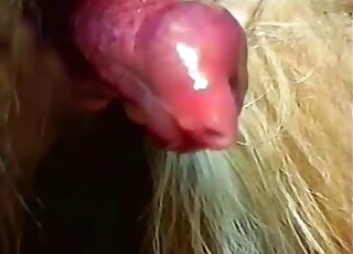 Red penis animal is enjoying a very nice handjob in a taboo vid