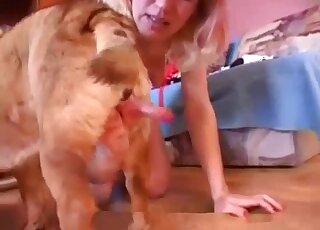 High heels-wearing zoophile with pink streaks blows a brown dog