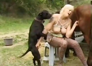 Brown stallion and black dog fucking the same lady in a threesome