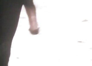 Horny zoophile dude is inspired by these animals and how they fuck