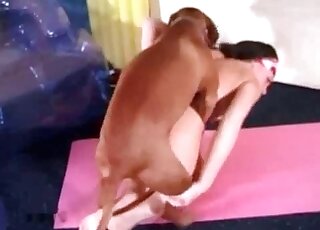 Hardcore fucking by a dog makes filthy zoophile babe moan