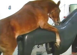 Brown stallion wants to empty its balls in an educational porn vid