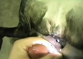 Guy blows a load all over this animal's pussy after hard fucking