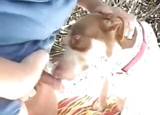 Amateur man tries to seduce his dog into having sex