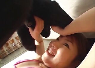 Cute Japanese teen has oral threesome with Labradors in heat