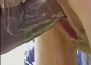 Amateur MILF enjoys doggy pounding on a farm by massive animal dick