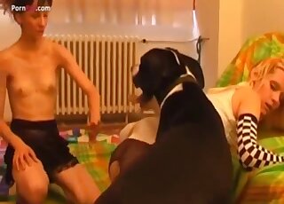 Two zoo-loving babes share randy dog in bestiality threesome