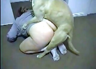 Indoors zoo porn session with a slender chick and her doggie