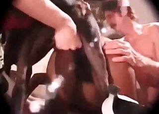 Dog's shaft makes horny zoophile bitch moan from orgasms