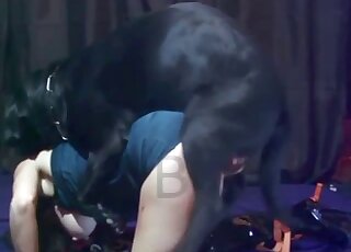 Thick black canine dominates curvaceous MILF in zoo porn flick