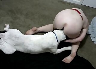 Amateur babe is in a trance while getting cunny licked by doggy