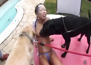 Latin babe is going to get her body licked all over by kinky dogs here