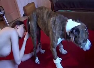 Homemade zoophilia blowjob grants nude amateur slut the best cumshot