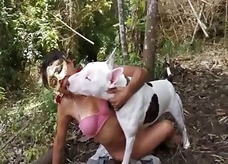 Hot Latina filmed with her terrier between the legs licking her cunt