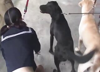 Nude Japanese plays obedient for ruthless dog perversions