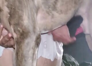 Big ass babe wants the tasty dog's cock in her succulent cunt