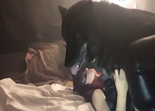 Curvy redhead tries heavy sex with the dog and sloppy blowjob