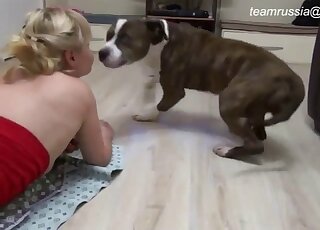 Blonde wife throats the dog's dick on cam in homemade XXX tryout