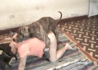 Big ass wife dog fucked in home zoo XXX and soaked in fresh sperm