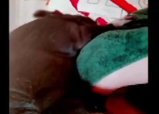 Amateur tries thick animal cock in her succulent love holes