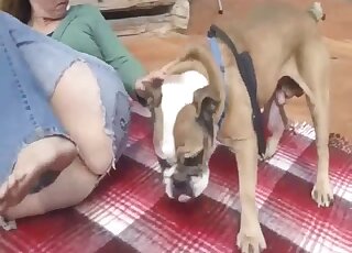 First time when this tight wife feels real dog penis in her wet pussy