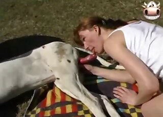 Big dog fucks amateur woman's wet cunt in sunny outdoor XXX scenes