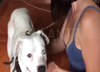 Brunette in blue is actively enjoying zoophilic handjobs and more