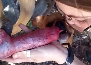 Nice handjob from a seasoned zoophile that loves real orgasms