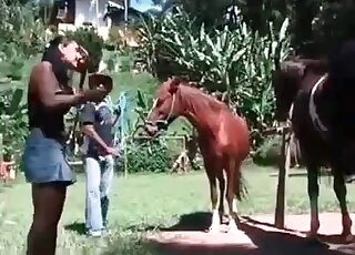 Attractive women enjoying the taste of that animal's penis outdoors