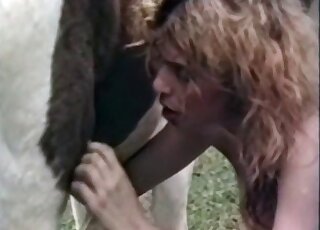 Filthy blonde prepares to suck a horse's dick and get some cum