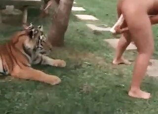 Slutty blonde stuffs a huge dildo in her pussy in front of a tiger