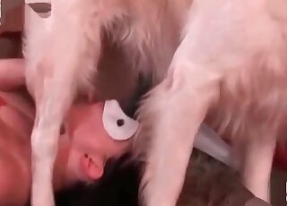 Dark-haired zoophile housewife enjoys humping with a sexy beast