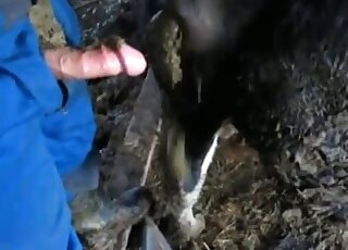 Curious dude screws ass of amazed animal in a zoo porn scene