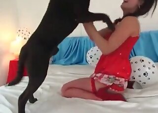 Pet dog fucks a weird zoophile cutie in her pink pussy like a rocket