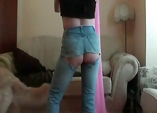 Dog explores and licks pussy of a hot wife before the eyes of amazed cat