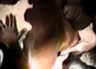 Wife gets tons of pleasure playing with horse’s dong n a retro zoo porn