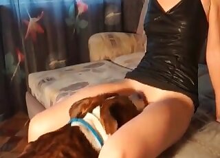 Bitch gets the best relaxation when a trained dog is fucking her hard