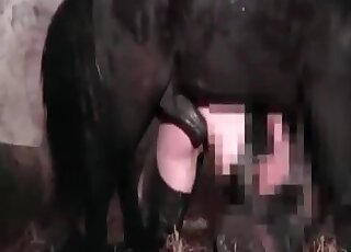 Kinky vixen jerks off to a black stallion in a XXX zoo porn scene