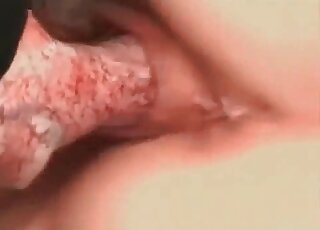 Wife goes mad about role playing and hot sex with her horny dog