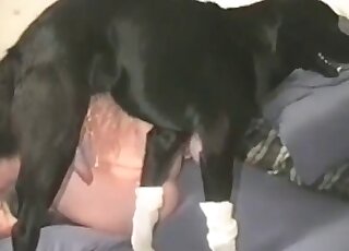 Curious sex girl gets her first experience of zoo sex and enjoys it