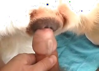 Animal loving dude toys his dog with a dildo and enjoys the process