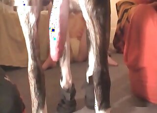 Redhead wife likes getting smashed in a doggystyle position by her dog