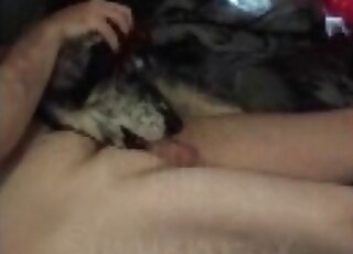 Very horny guy gets his erected cock sucked by his helpful dog