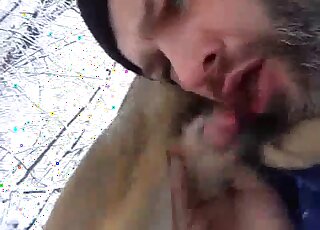 Bearded gay guy blows a dog in an outdoor porn movie right here